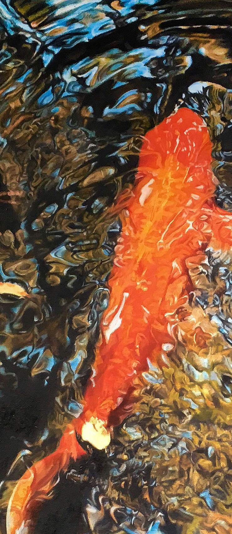 Fish Spin