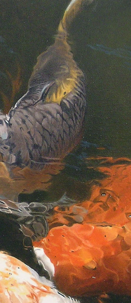Koi #2