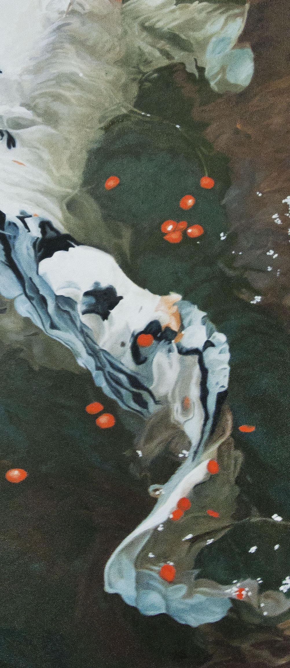 Koi #4
