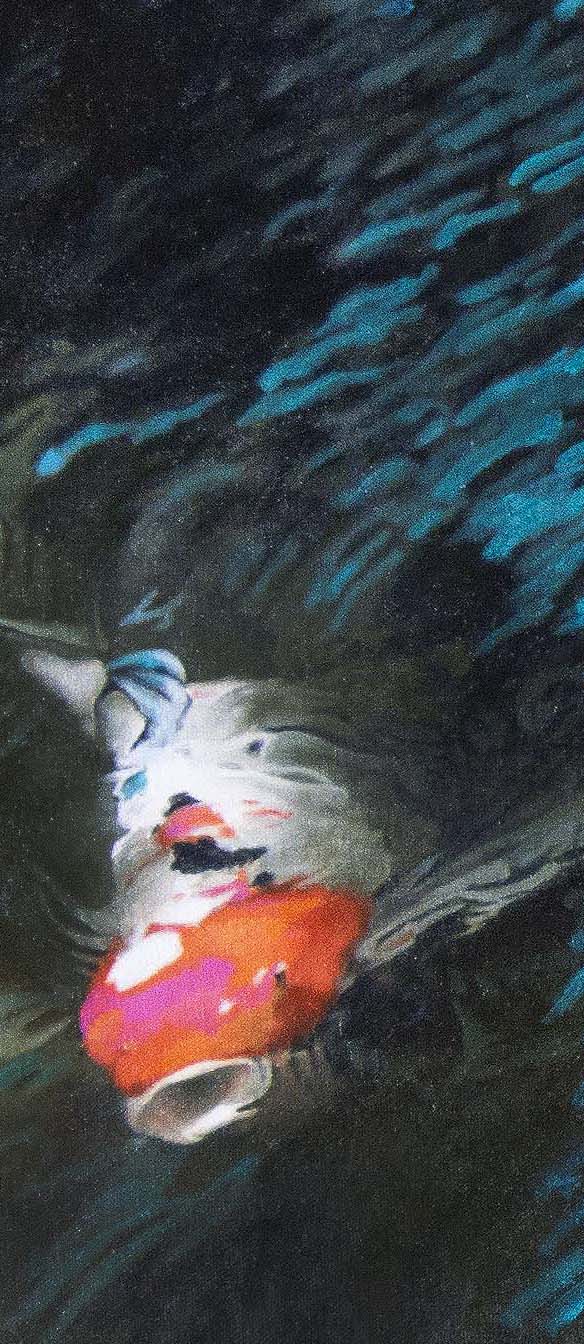 Koi #6
