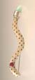 Wavy Bone Brooch